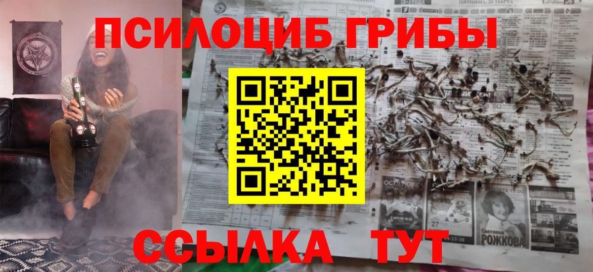 магазин продажи наркотиков  Вход с VPN  Строитель  Галлюциногенные грибы мицелий 