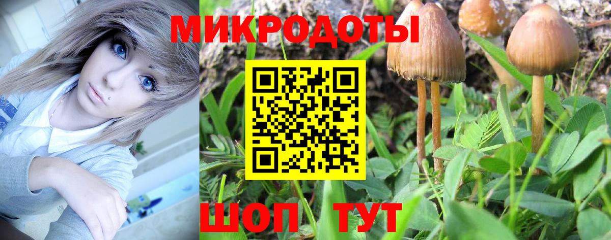 Галлюциногенные грибы ЛСД Строитель